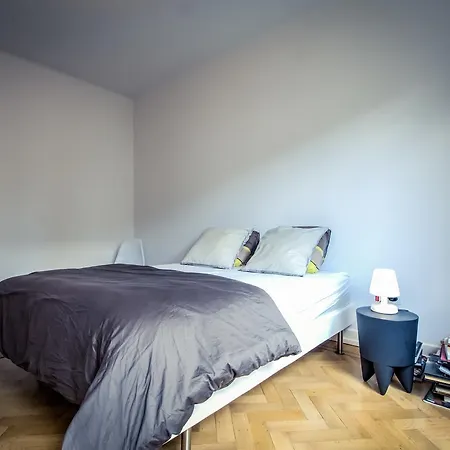 Wonderfull & Spacious Flat In Quartier De L'orangerie 公寓 斯特拉斯堡