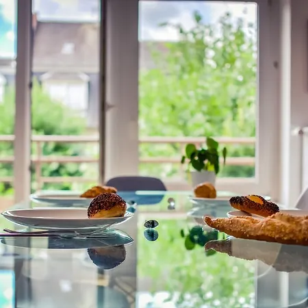 Wonderfull & Spacious Flat In Quartier De L'orangerie